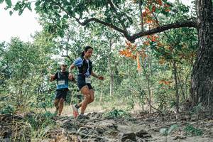 BIB: 
                            <button type="button" onclick="openModal(26085325)" class="btn btn-primary btn-sm float-right btn-popup" data-toggle="modal" data-target=".modal-high-quality">
                        <i class="fas fa-shopping-cart"></i> Add to Cart
                    </button>
                                            <button type="button" onclick="isThisMe(26085325, true)" class="btn btn-success btn-sm float-right btn-popup btn-isme hidden" data-toggle="tooltip" data-placement="bottom" title="นี่คือรูปของคุณใช่ไหม คลิกที่นี่เพื่อเอาเข้าอัลบั้ม">
                        <i class="fas fa-plus"></i> Add to album
                    </button>
                    <button type="button" onclick="isThisMe(26085325, false)" class="btn btn-warning btn-sm float-right btn-popup btn-isnotme hidden">
                        <i class="fas fa-ban"></i> Remove from album
                    </button>